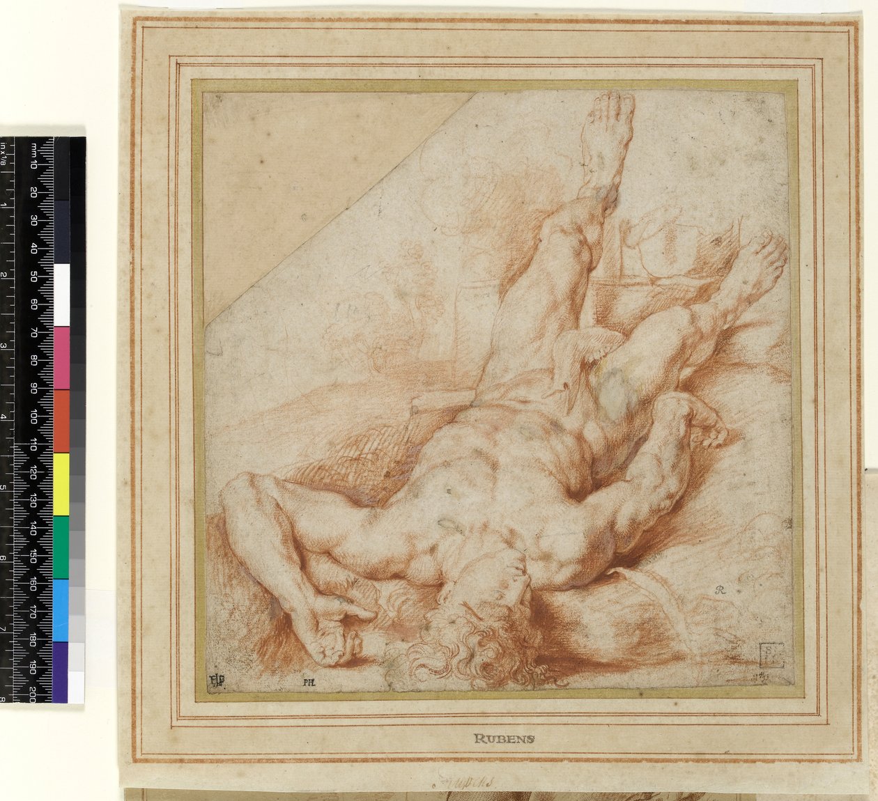 Abel Slain od Kaina (kresba) od Peter Paul Rubens
