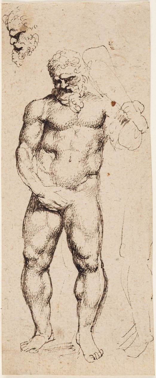 Herkules od Peter Paul Rubens