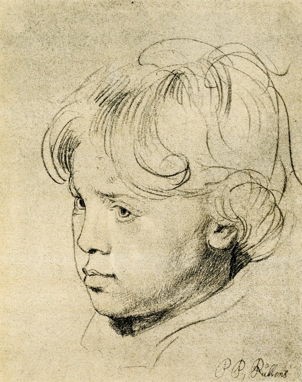 Rubensův syn Niklas od Peter Paul Rubens