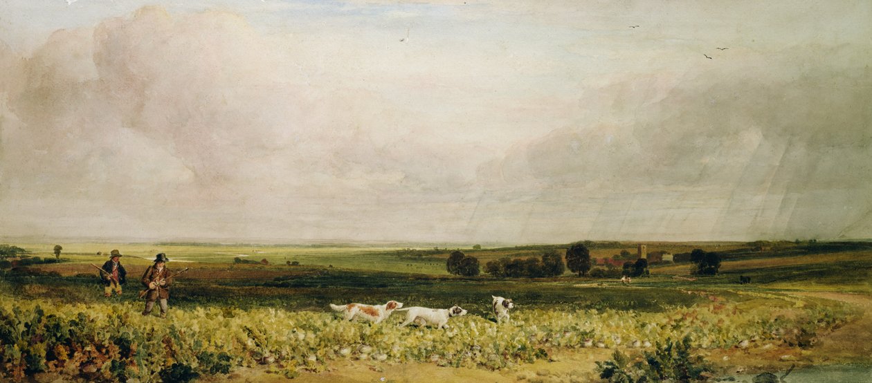 Partridge Střelba od Peter de Wint