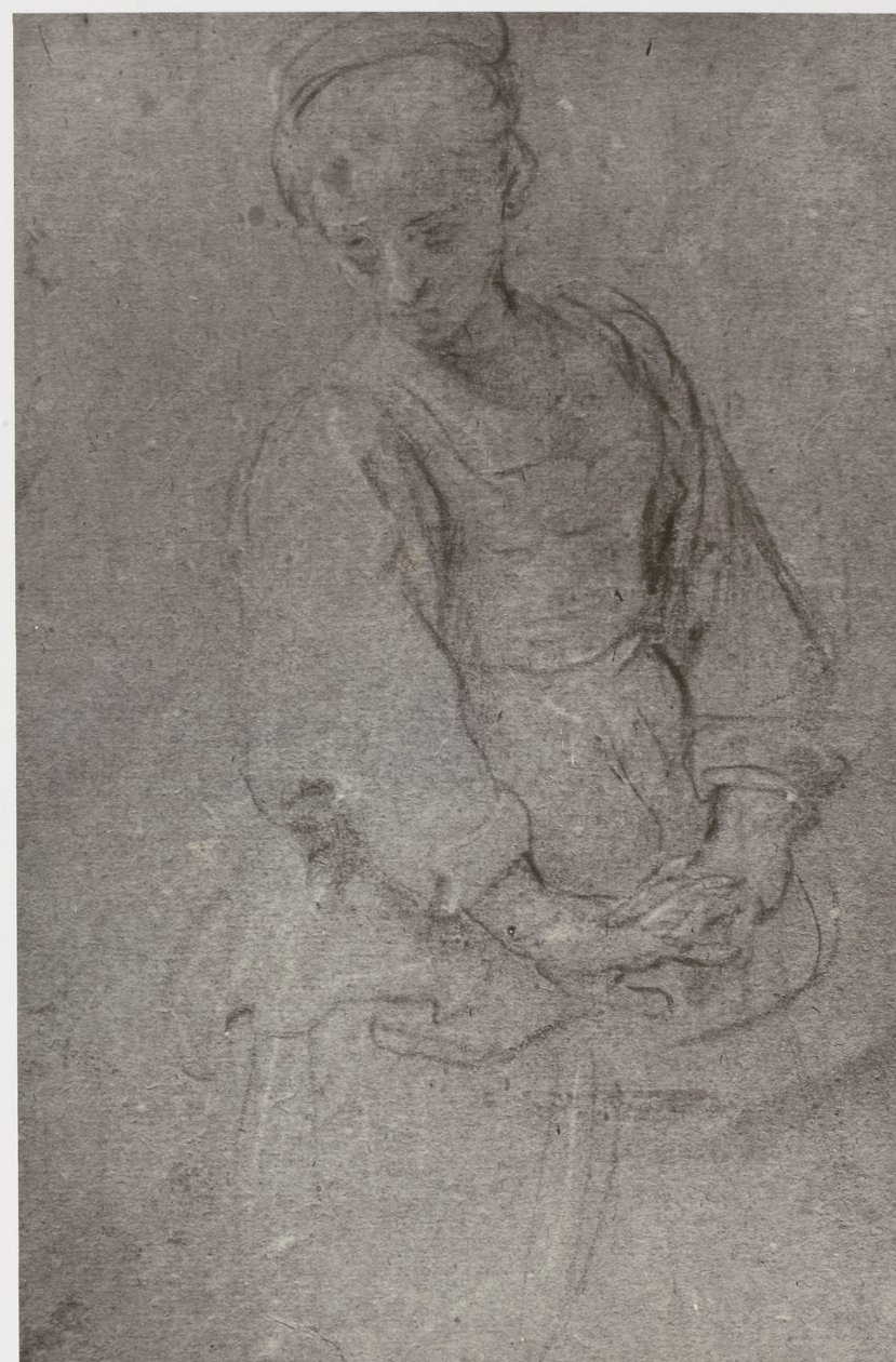 Domenichino, Smutek od Philip Henry Delamotte