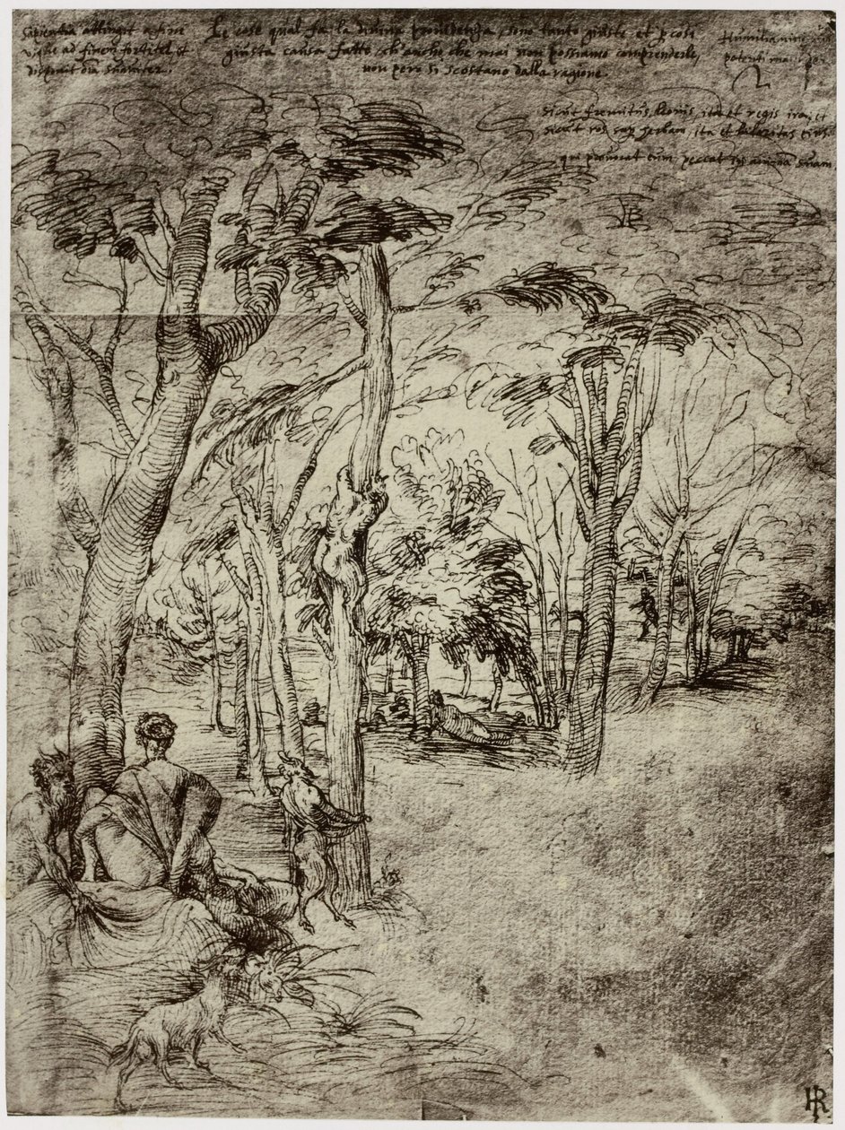 Titiaan, Návrh pro obrázek od Philip Henry Delamotte