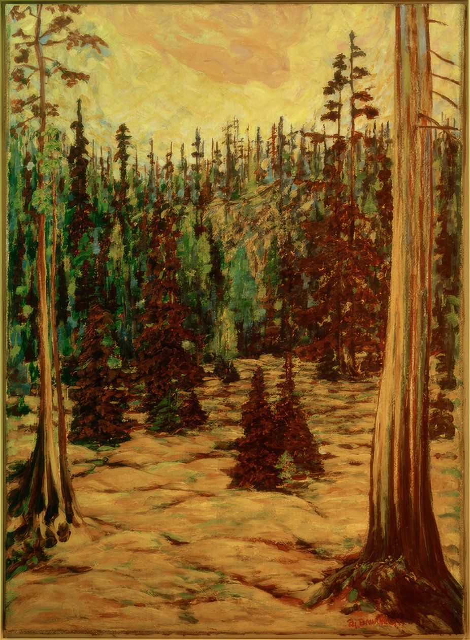 Letní les od Philipp Bauknecht