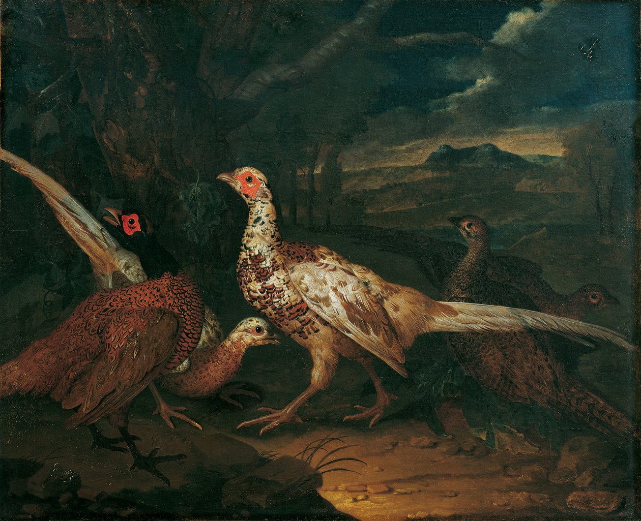 obtěžovat od Philipp Ferdinand de Hamilton