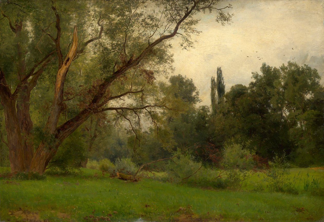 V parku Kleinheubach am Main od Philipp Röth