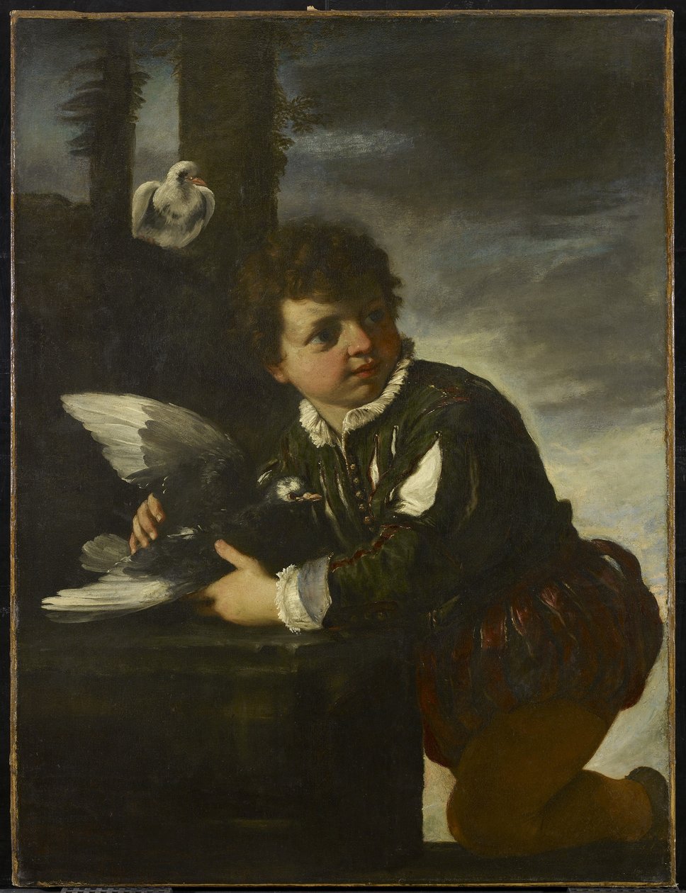 Chlapec s holubicí, kolem 1650-55 od Pier Francesco Mola