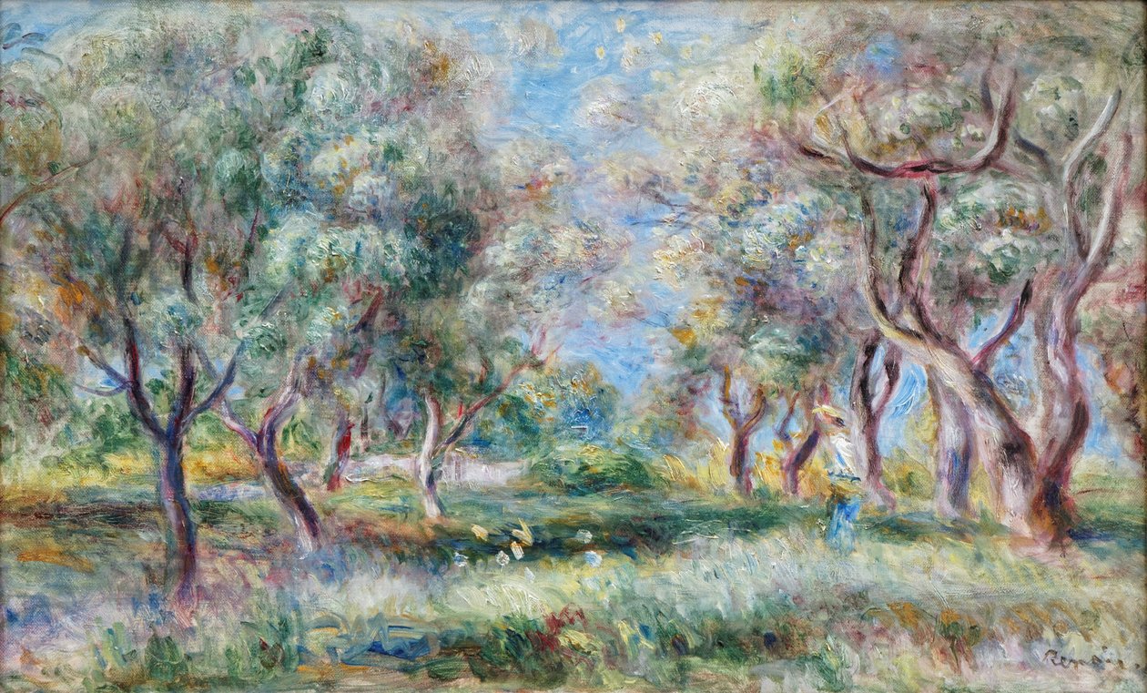 Olivovníky Cagnes od Pierre Auguste Renoir