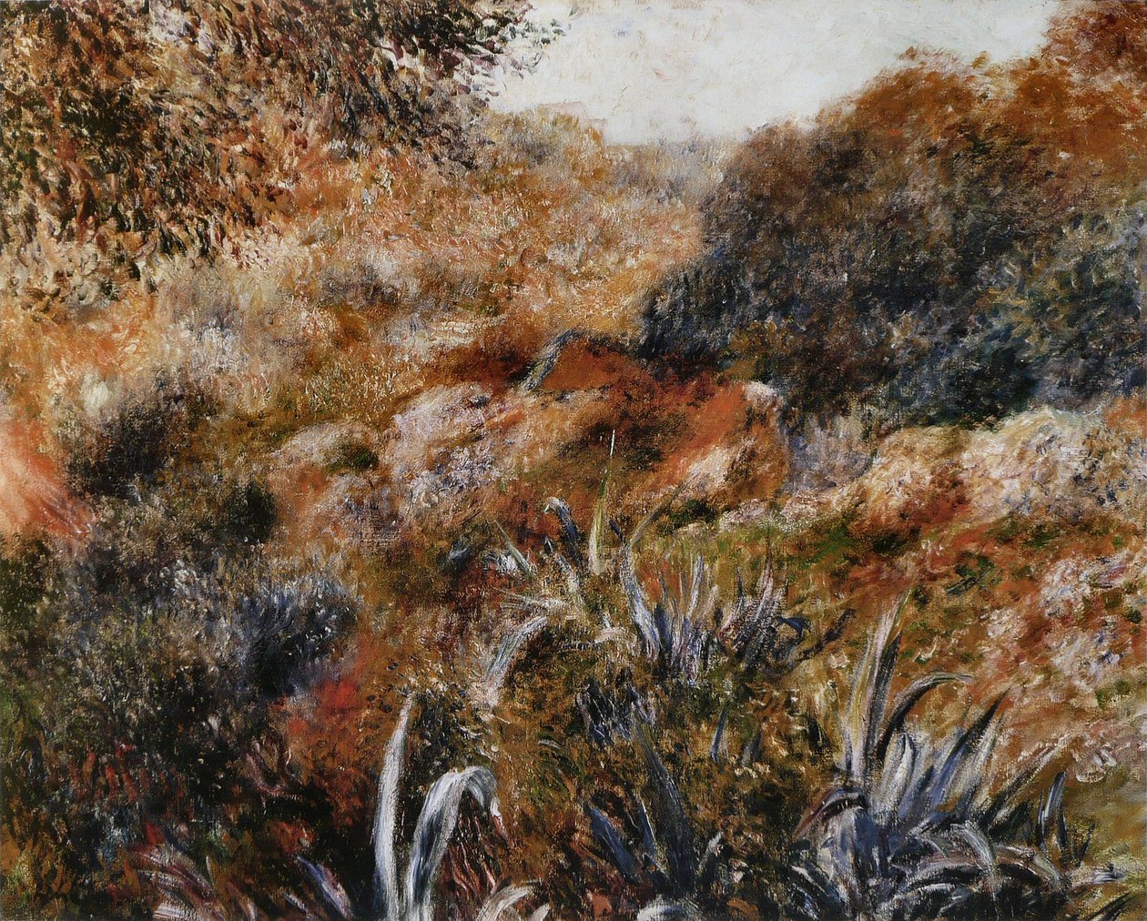 Alžírská krajina od Pierre Auguste Renoir