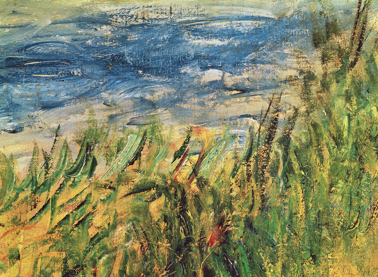 Břehy Seiny v Champrosay, detail vody a trávy ve středu obrazu, 1876 (detail 38573) od Pierre Auguste Renoir