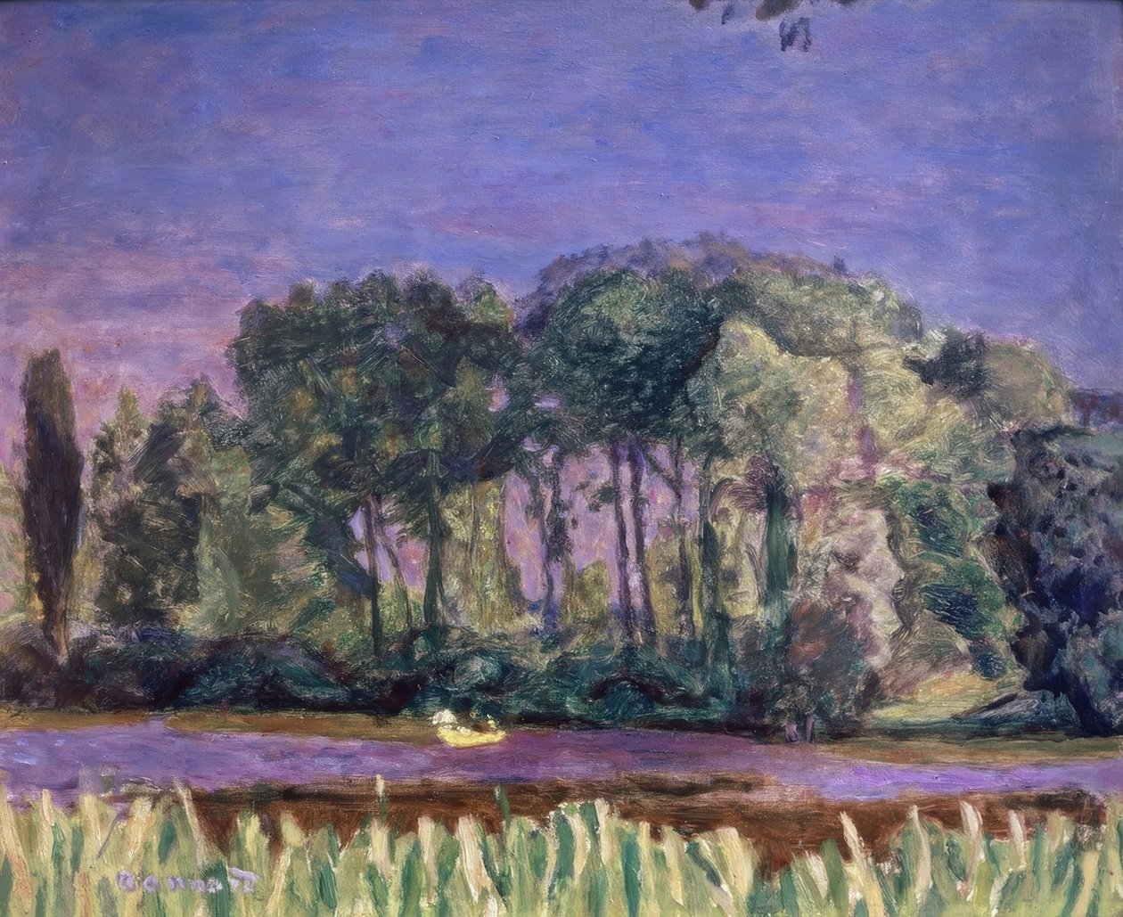BŘEHY SÉNY. Künstler: PIERRE BONNARD. Místo: VILLA DE PARIS MUZEUM MODERNÍHO UMĚNÍ, FRANKREICH od Pierre Bonnard
