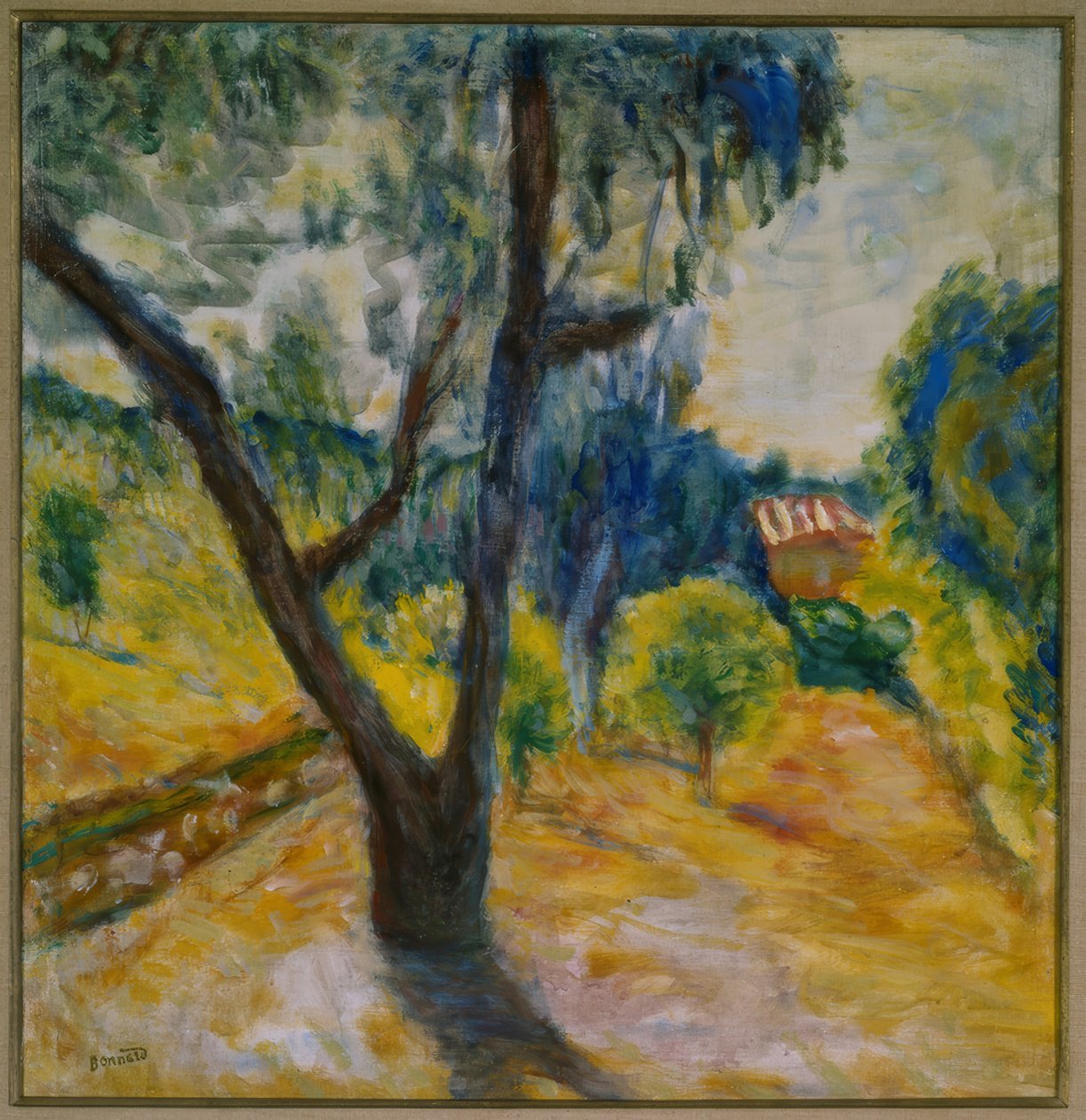 Krajina s olivovníkem od Pierre Bonnard