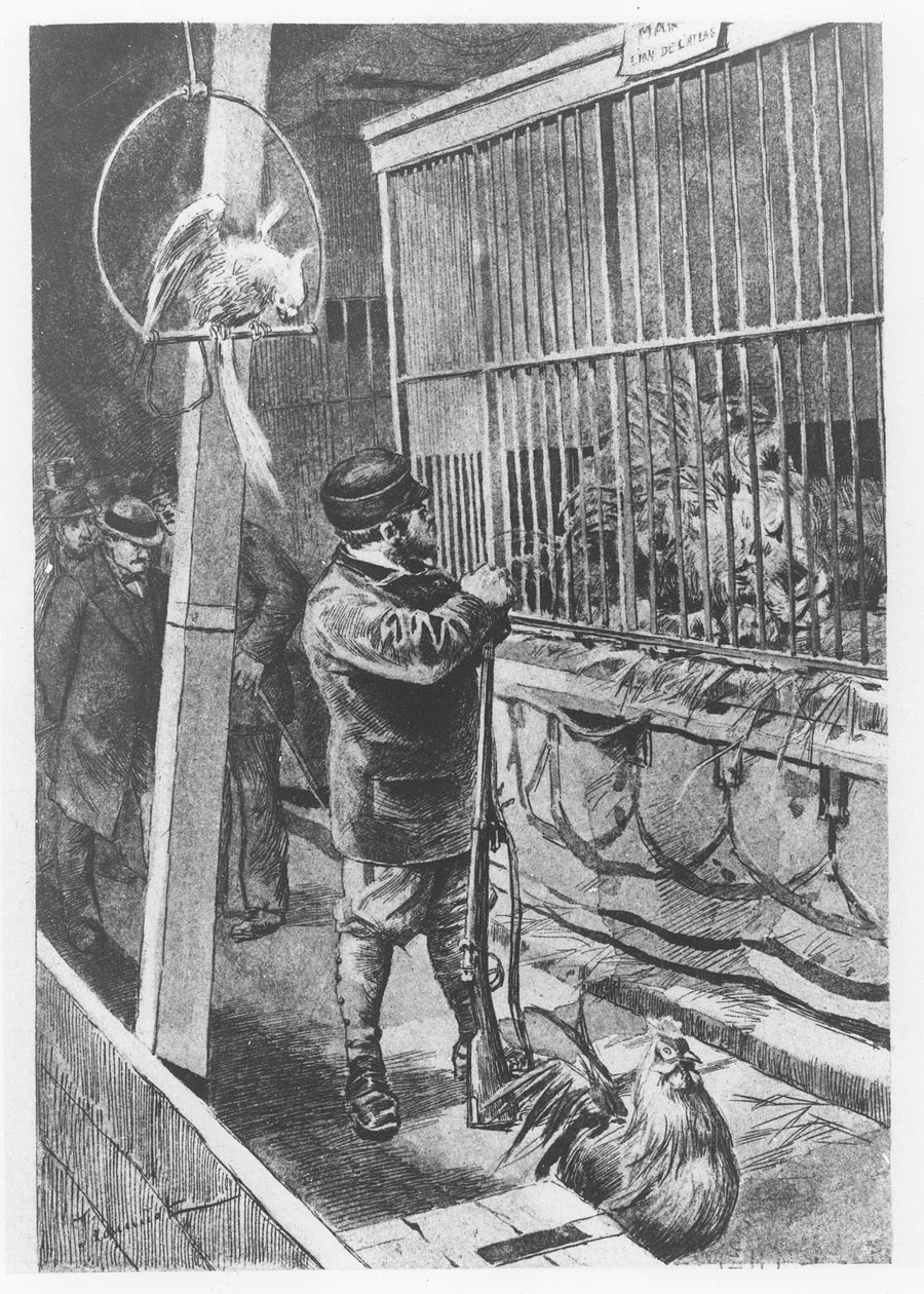 Ilustrace z knihy "Tartarin de Tarascon", Alphonse Daudet od Pierre Georges Jeanniot