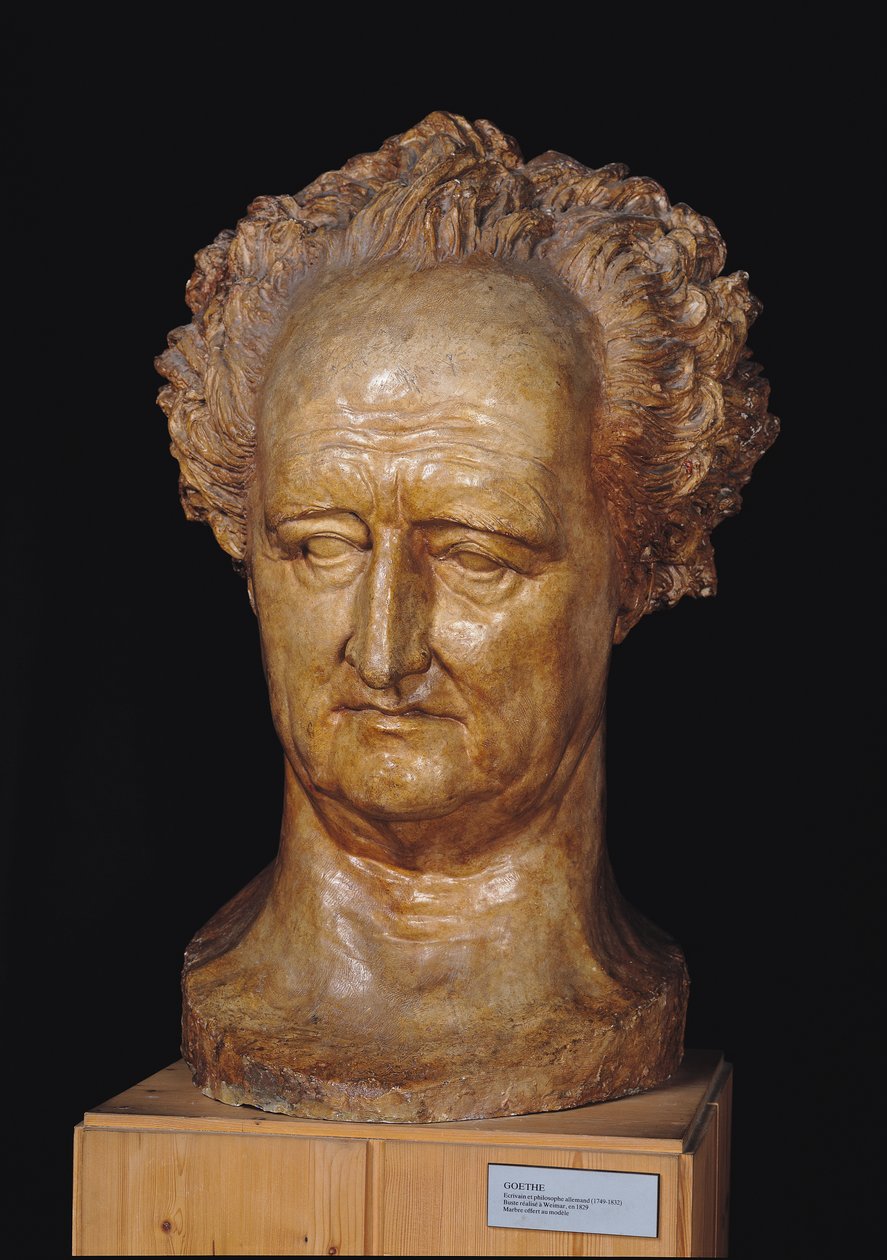 Busta Johanna Wolfganga von Goethe (1749-1832), 1831 (sádra) od Pierre Jean David d