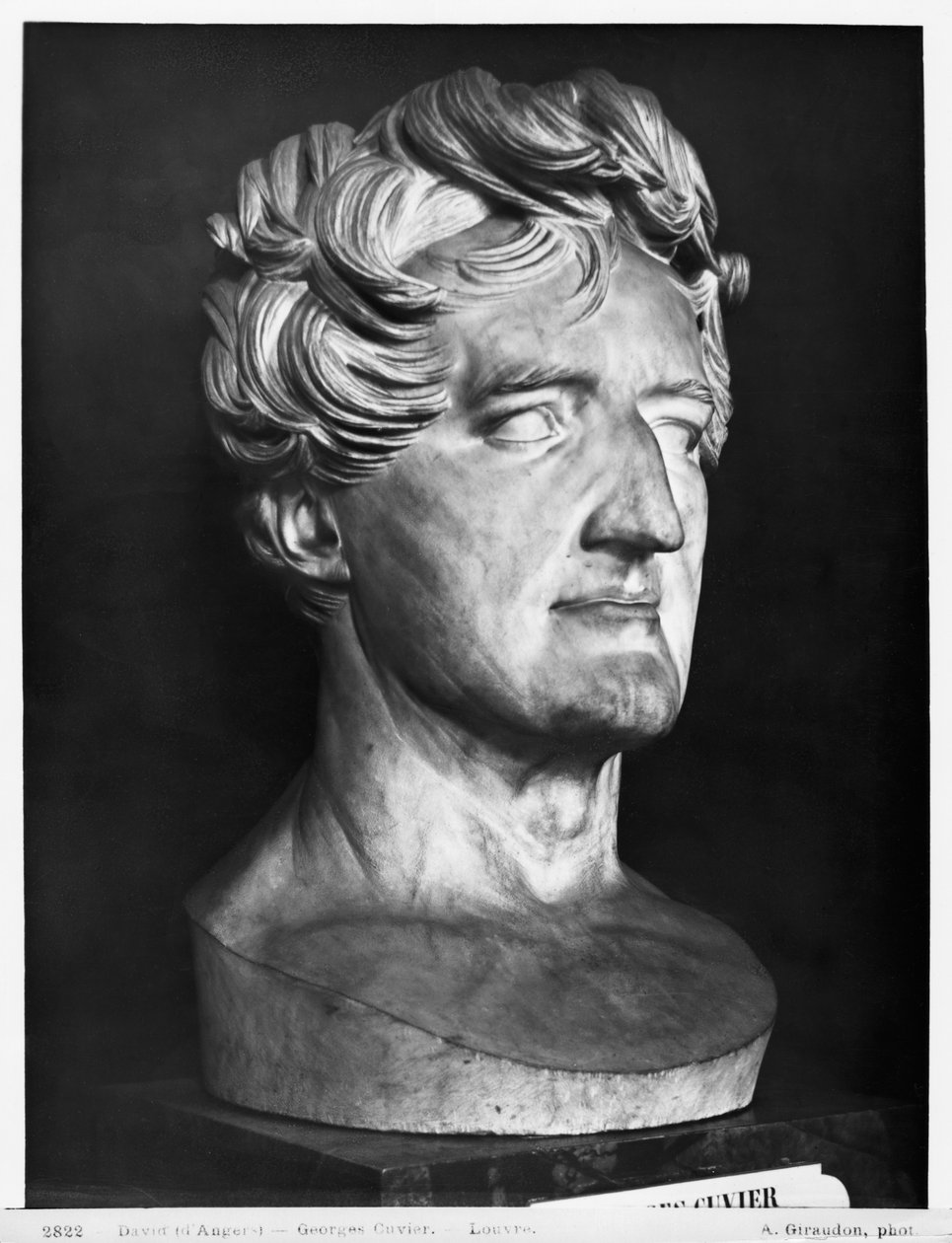 Georges Cuvier, 1833 (mramor) od Pierre Jean David d