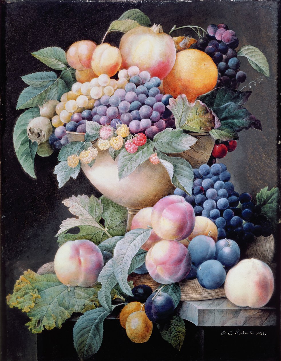 Ovoce od Pierre Joseph Redouté