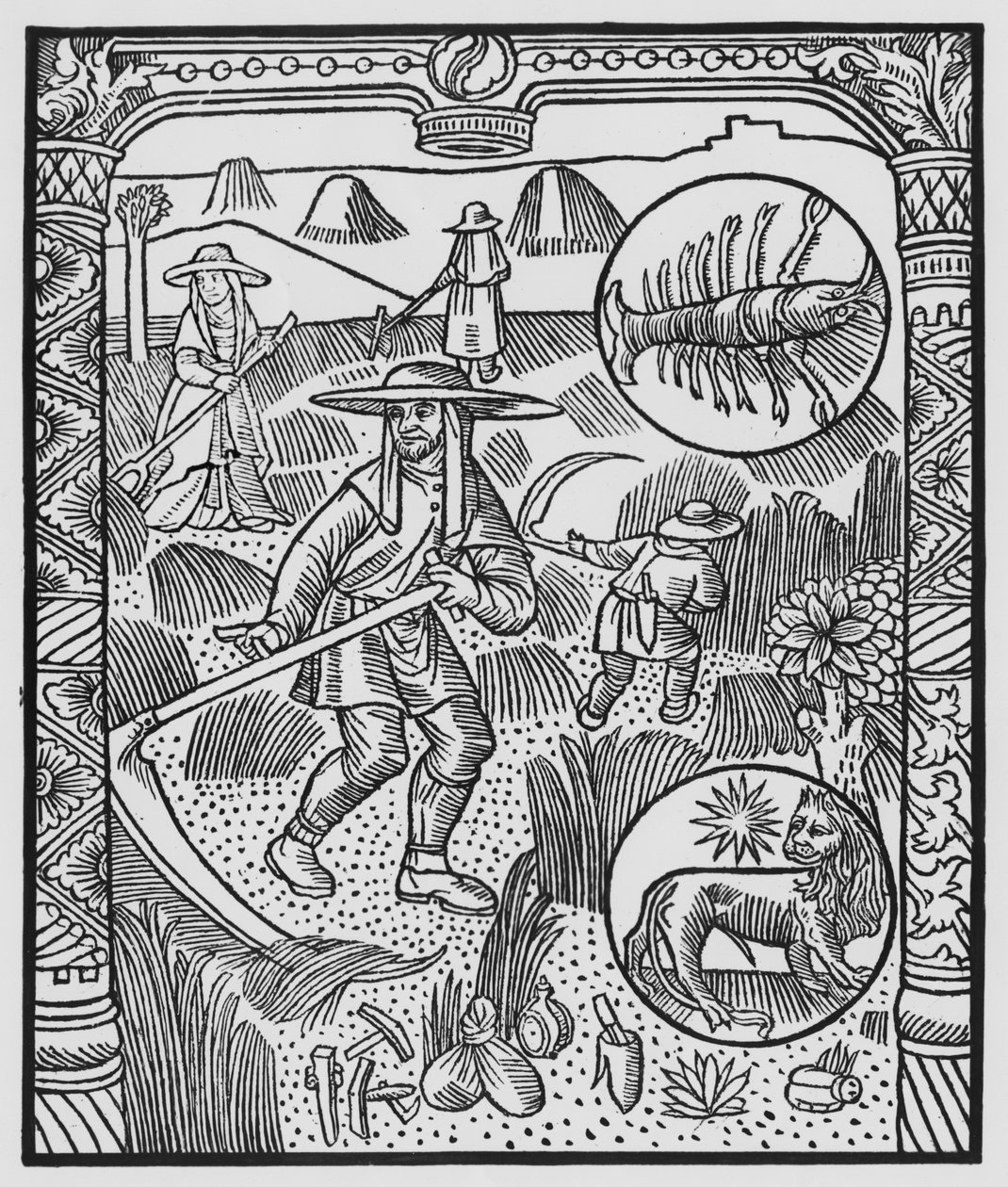 Červenec, senoseče, Rak, ilustrace z 