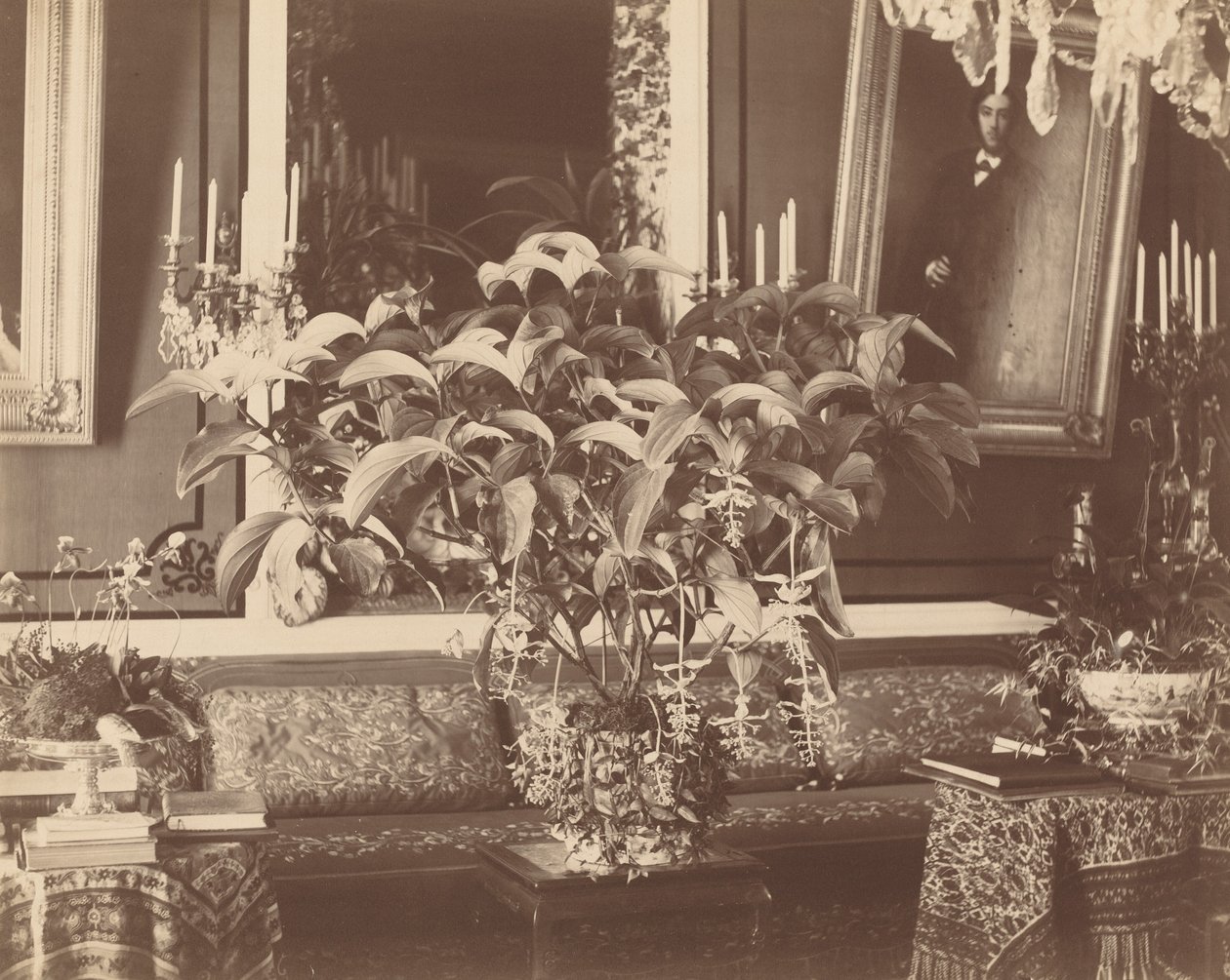 Interiér, 1860s. od Pierre Ambrose Richebourg