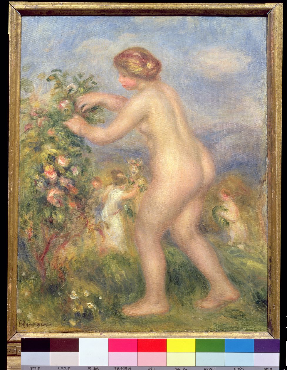 Nahá žena trhá květiny od Pierre Auguste Renoir