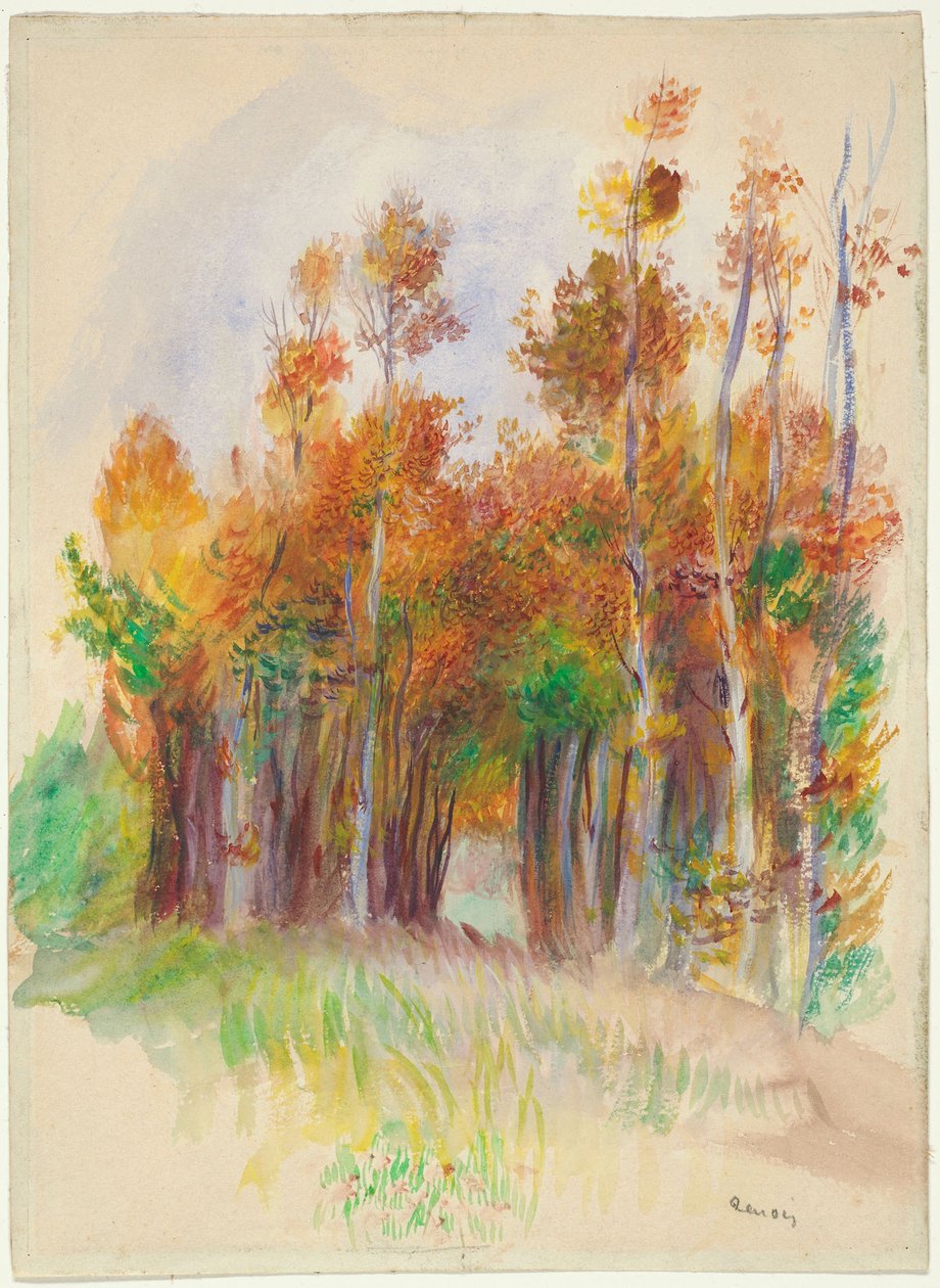 Háj stromů od Pierre Auguste Renoir