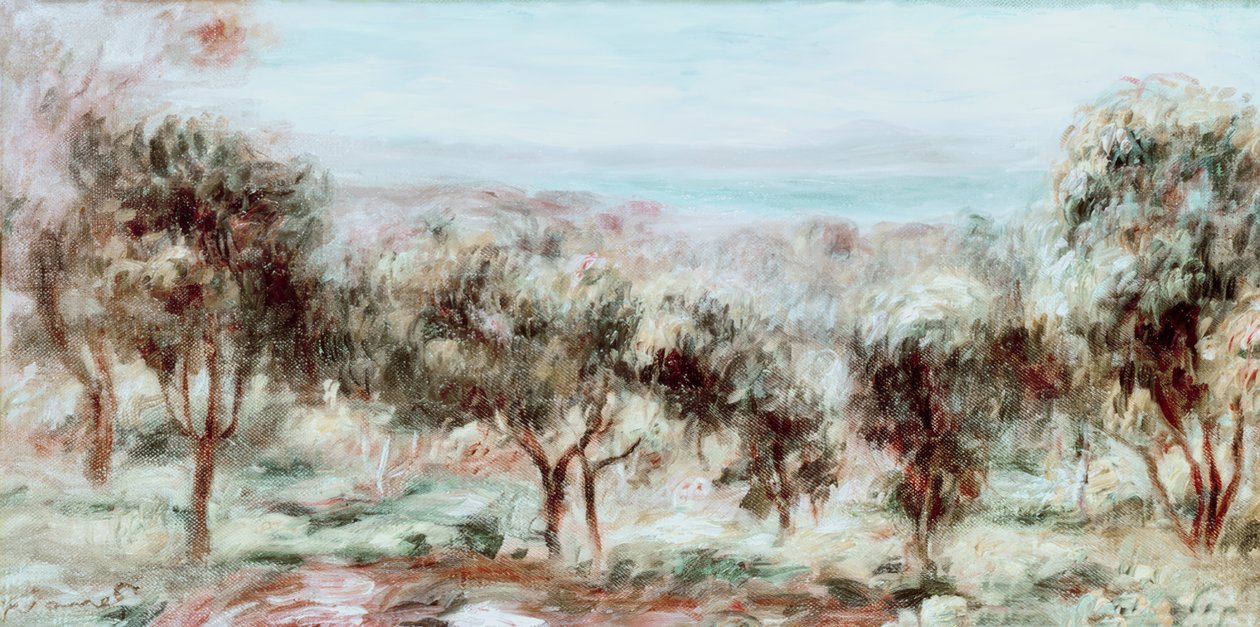 Krajina, olivovníky od Pierre Auguste Renoir