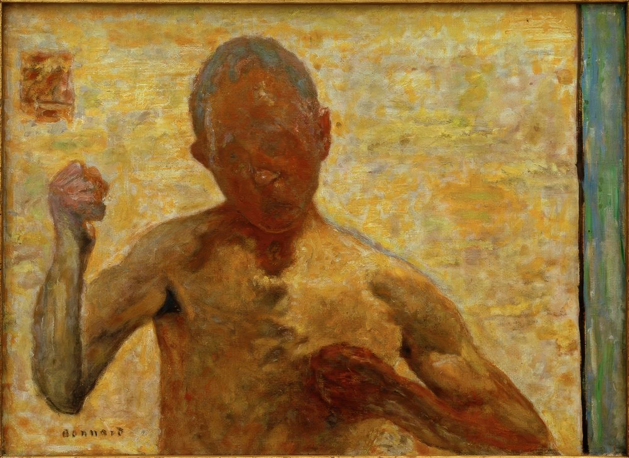Autoportrét (The Boxer) od Pierre Bonnard