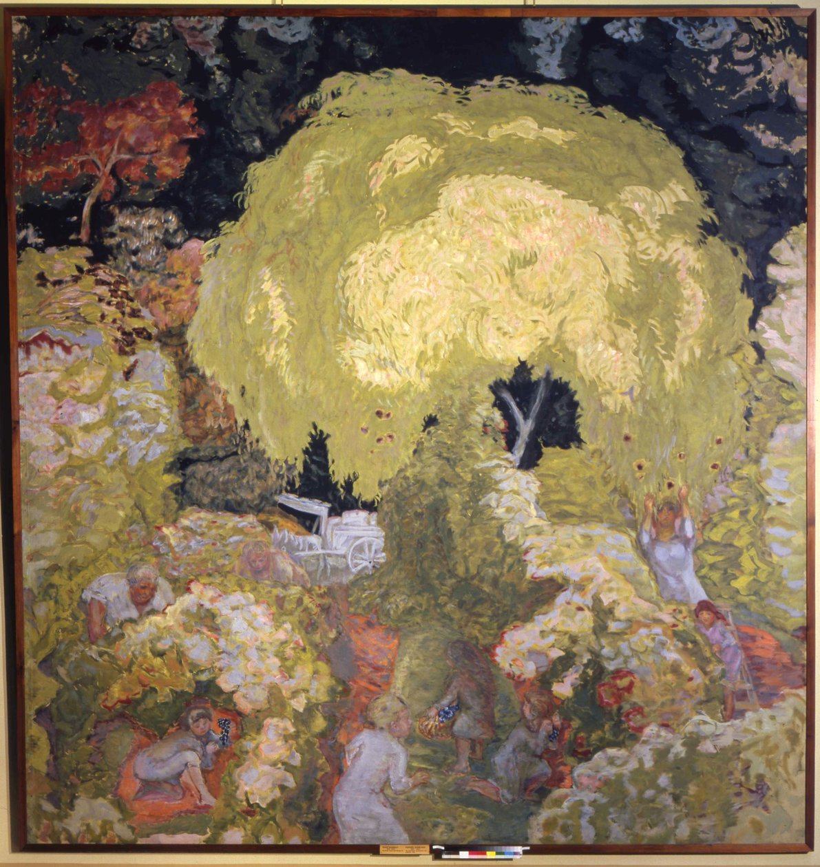 Podzim, sběr ovoce od Pierre Bonnard