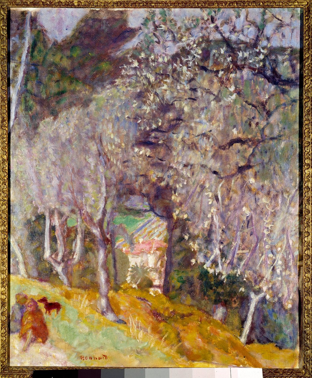 Dům v Olivách od Pierre Bonnard
