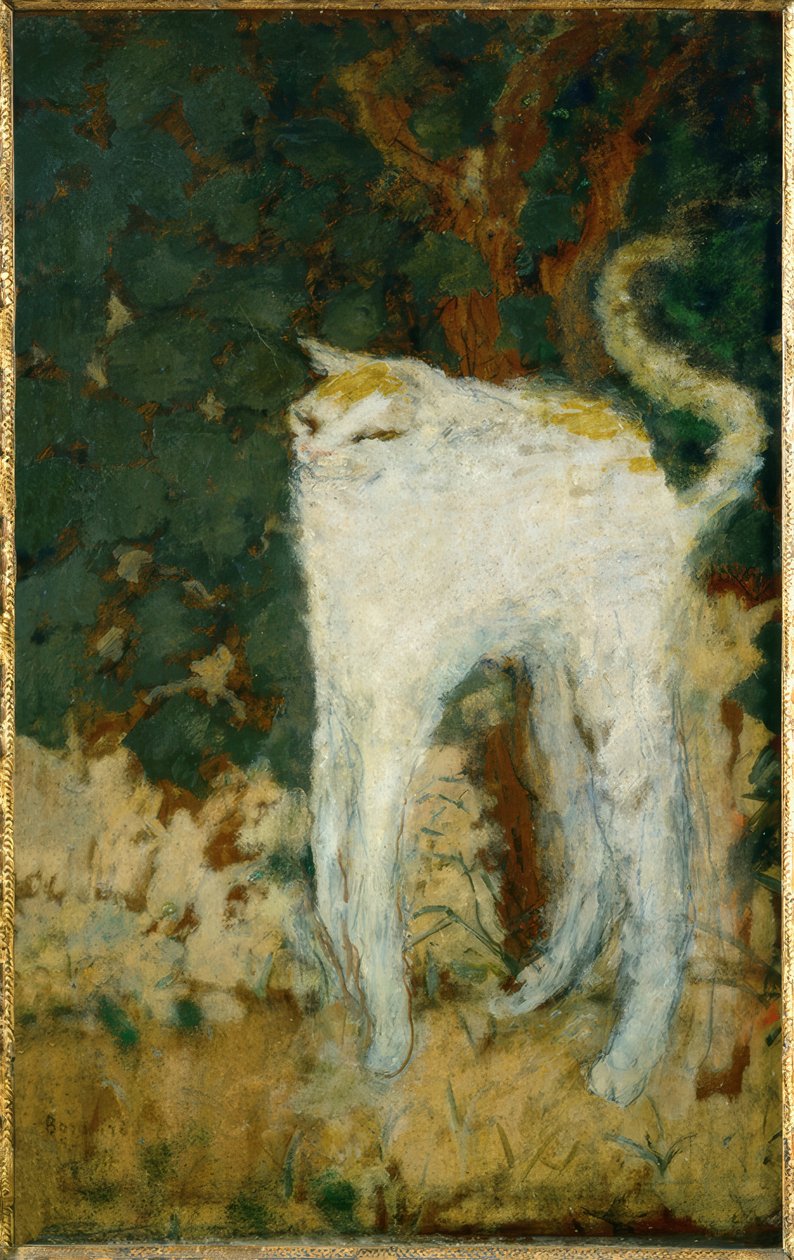 Bílá kočka od Pierre Bonnard