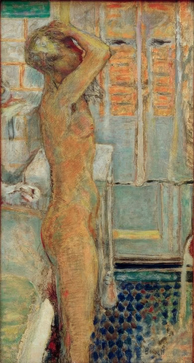 Žádná profilová šedá od Pierre Bonnard