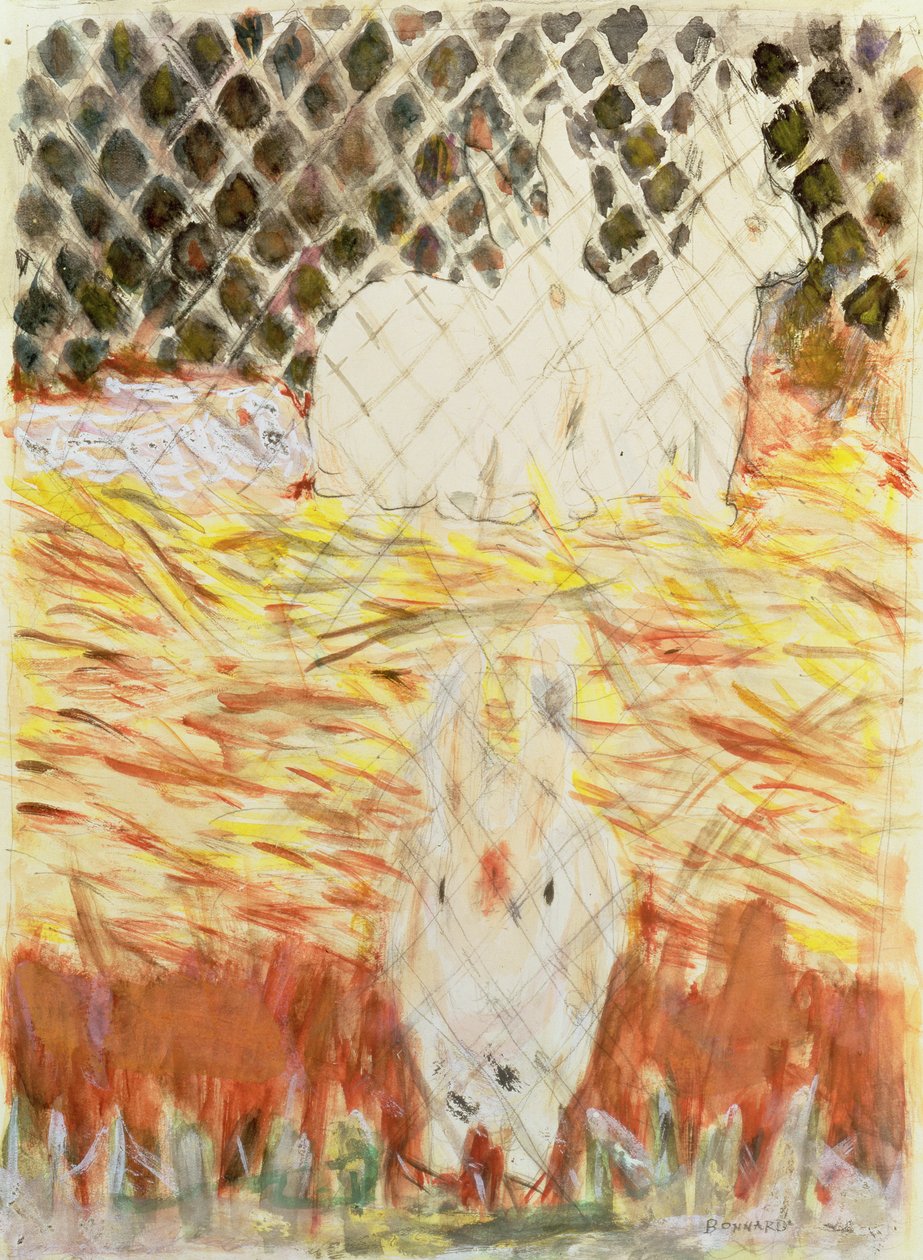 Králíci, kolem roku 1930 od Pierre Bonnard