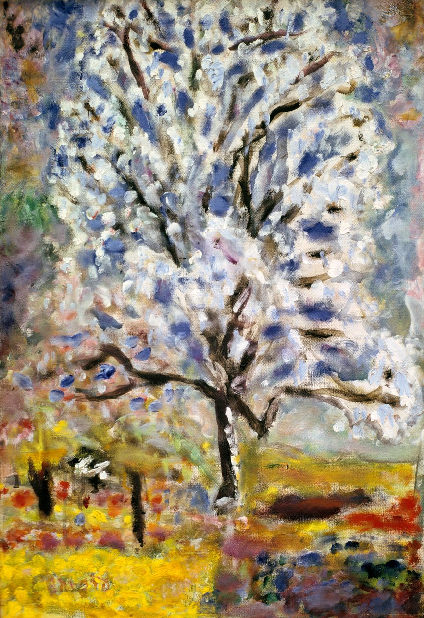Mandlový strom v květu, 1947 od Pierre Bonnard