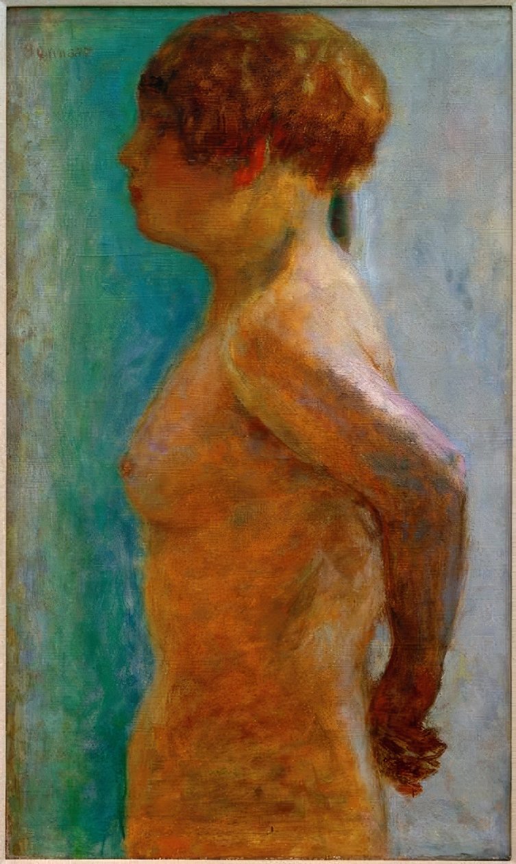 Ženský trup v profilu od Pierre Bonnard