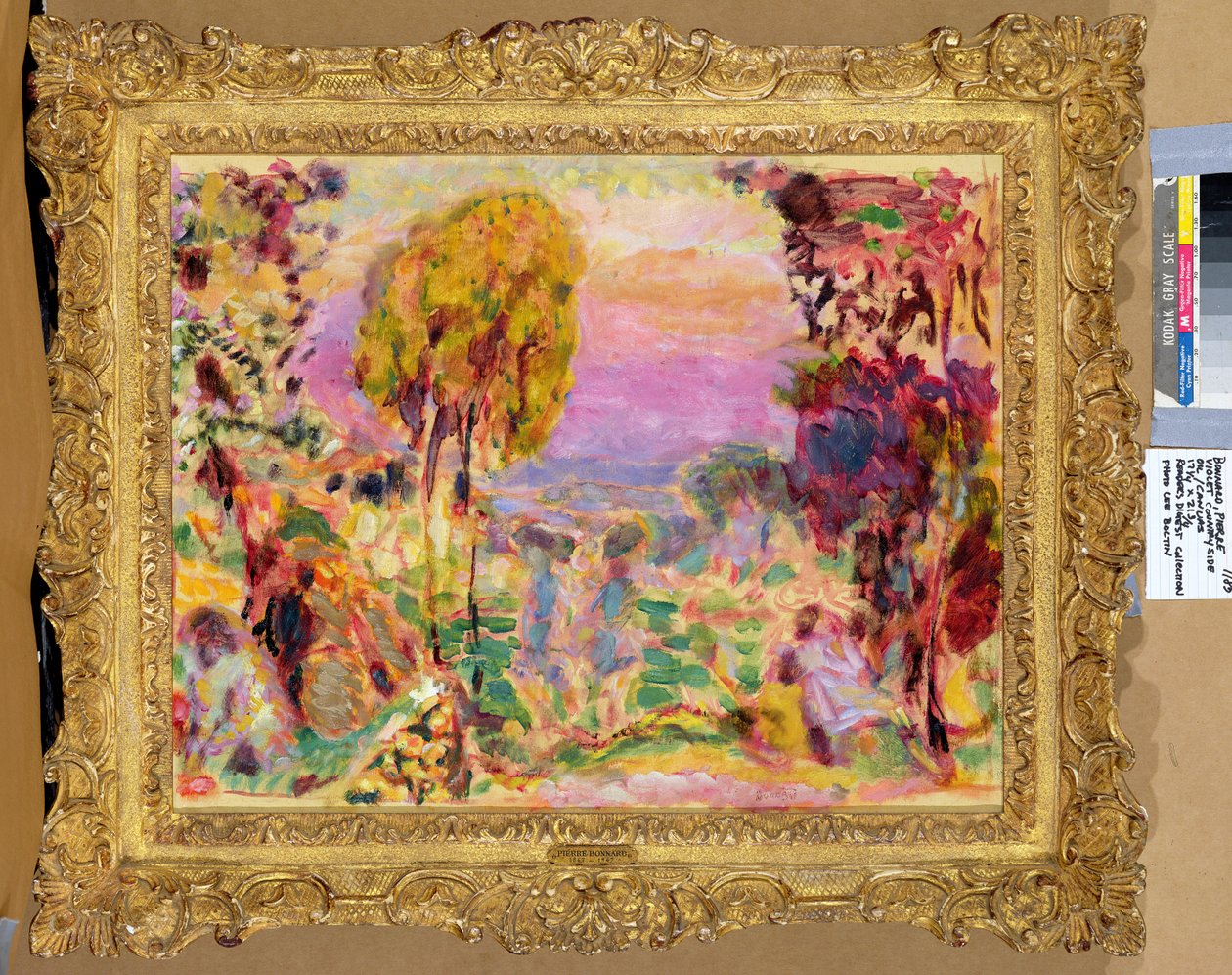 Fialový venkov od Pierre Bonnard
