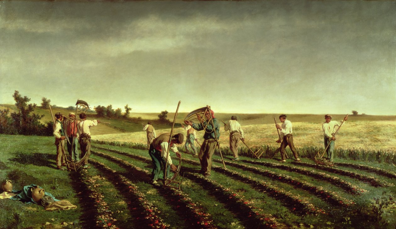 Reaping Sainfoin v Chambaudouin, 1882 od Pierre Edmond Alexandre Hedouin