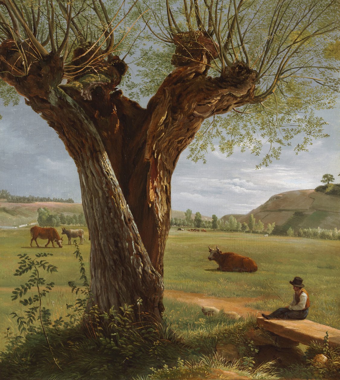 Pollard Willow, po roce 1804. od Pierre Jean Boquet