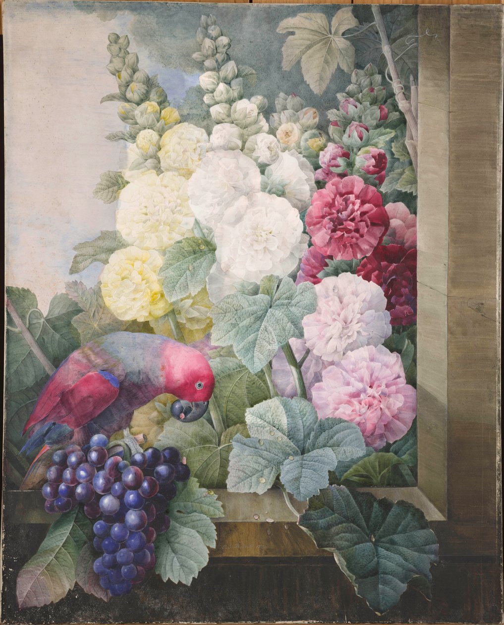 Hollyhocks, hrozny a papoušek, 1836. od Pierre Joseph Redouté