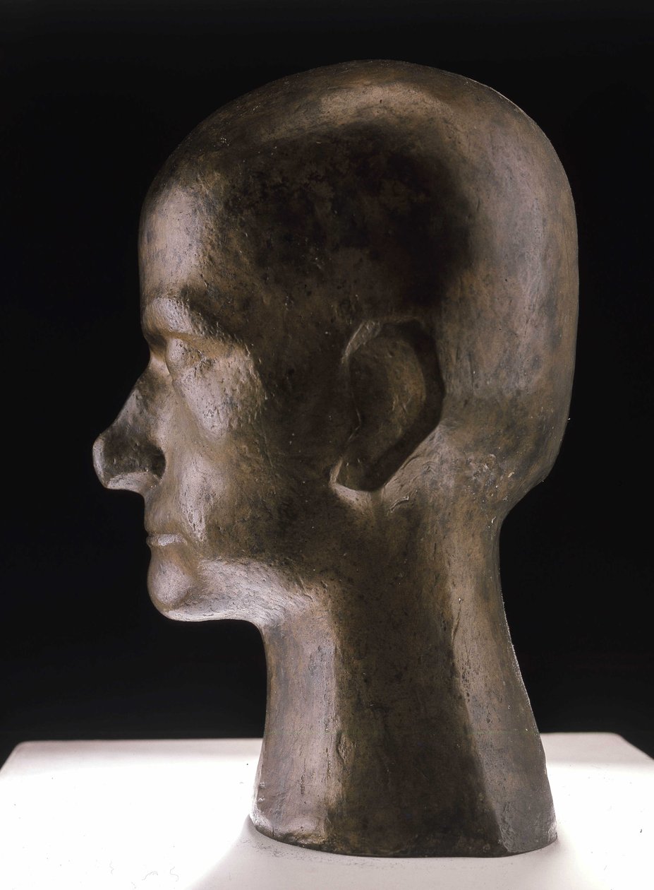 Busta Baudelaira, bronz od Pierre Maurice Raymond Duchamp Villon
