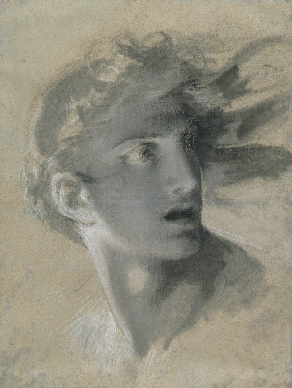 Hlava pomsty od Pierre Paul Prud