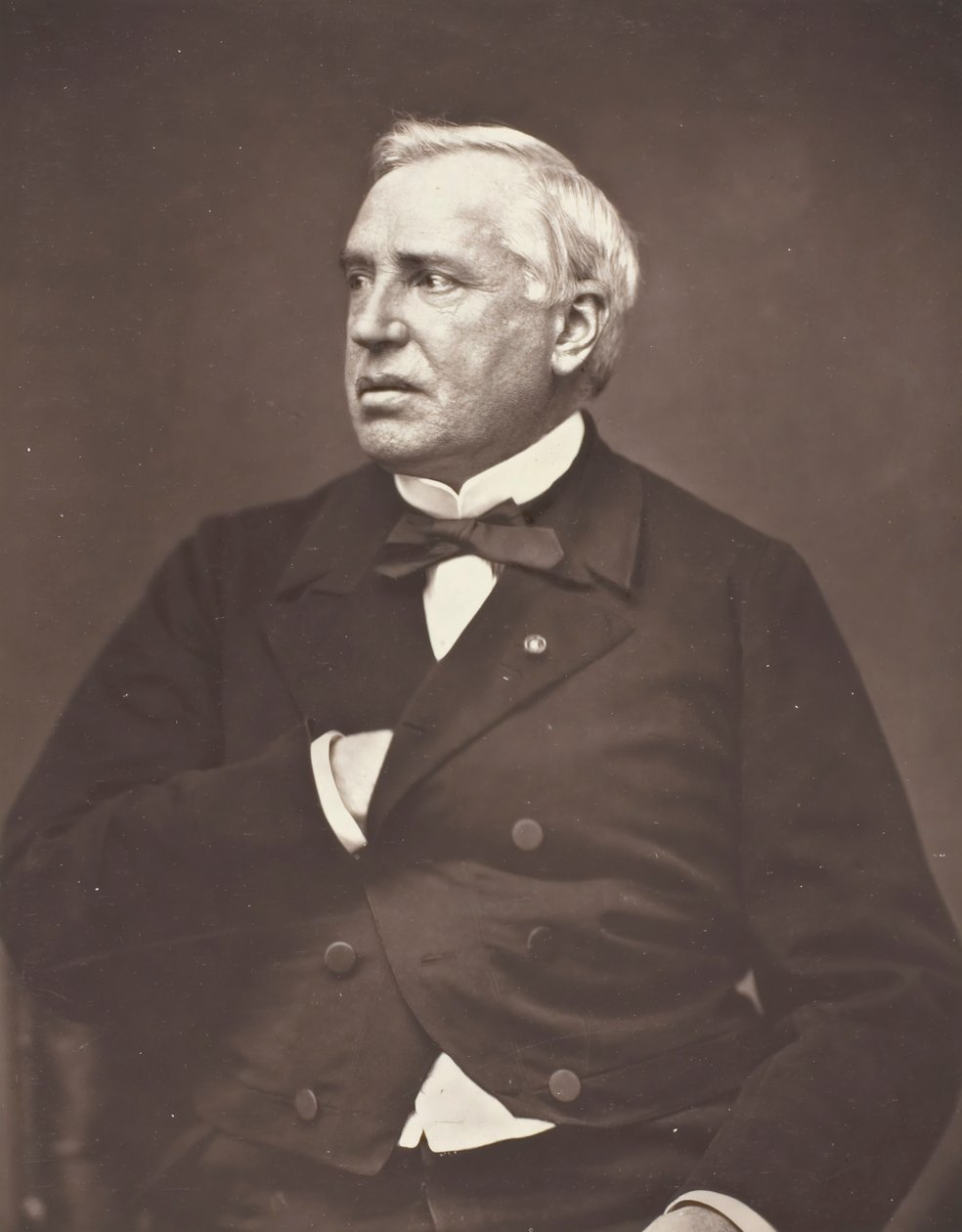 Nelaton, c. 1876. od Pierre Petit