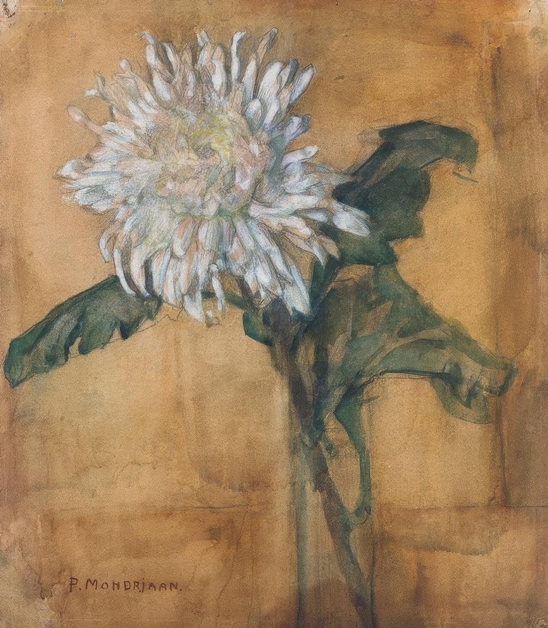 Chryzantéma od Piet Mondrian