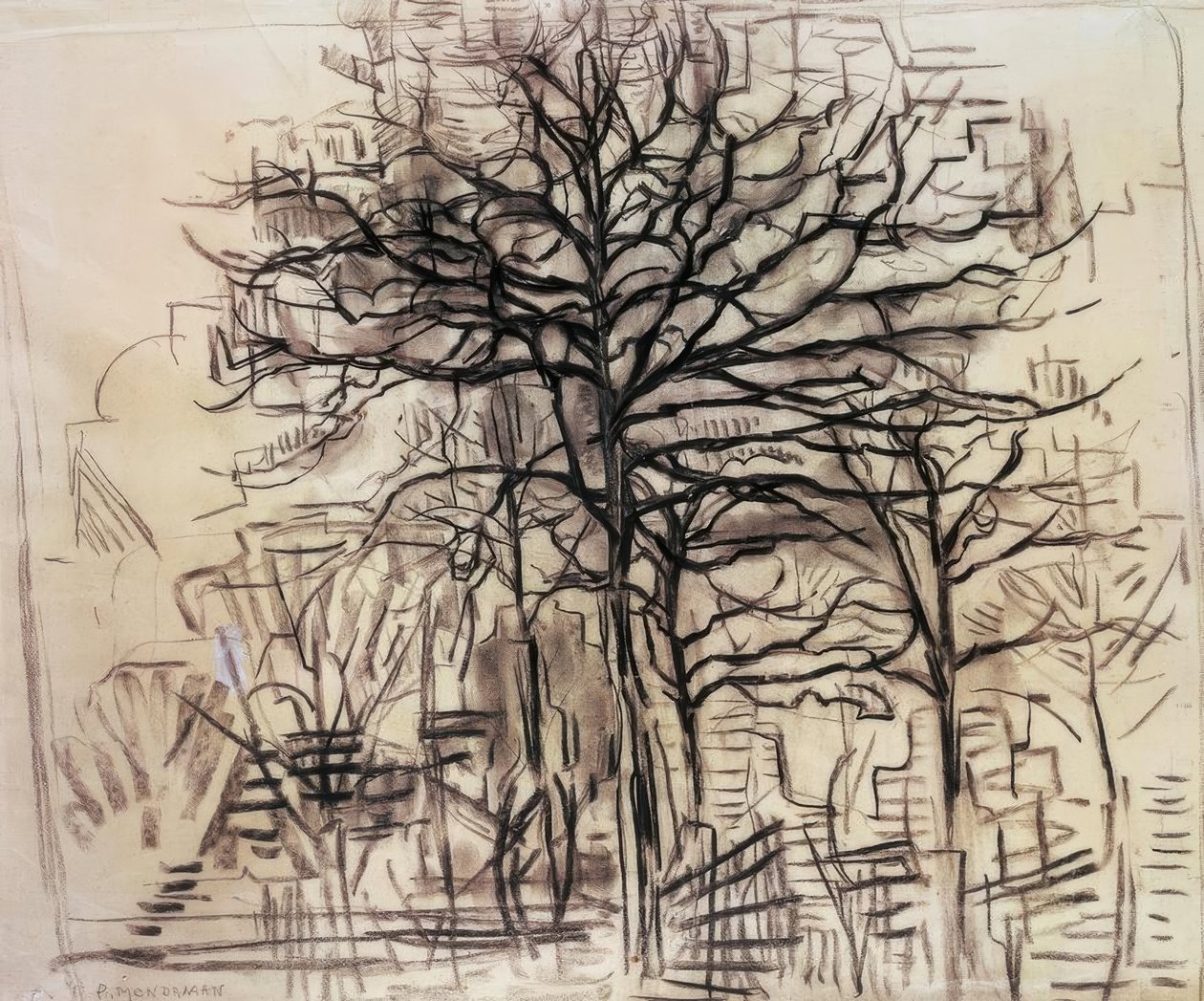 Studium stromů, od Piet Mondrian