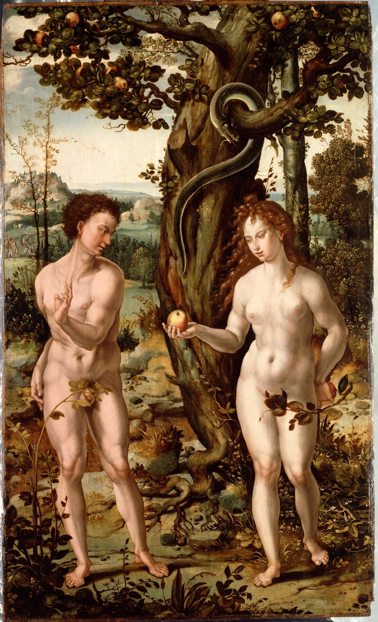 Pád člověka od Pieter Coecke van Aelst