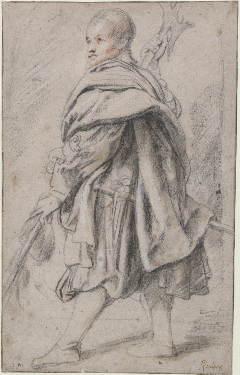 Studium halapartníka od Peter Paul Rubens