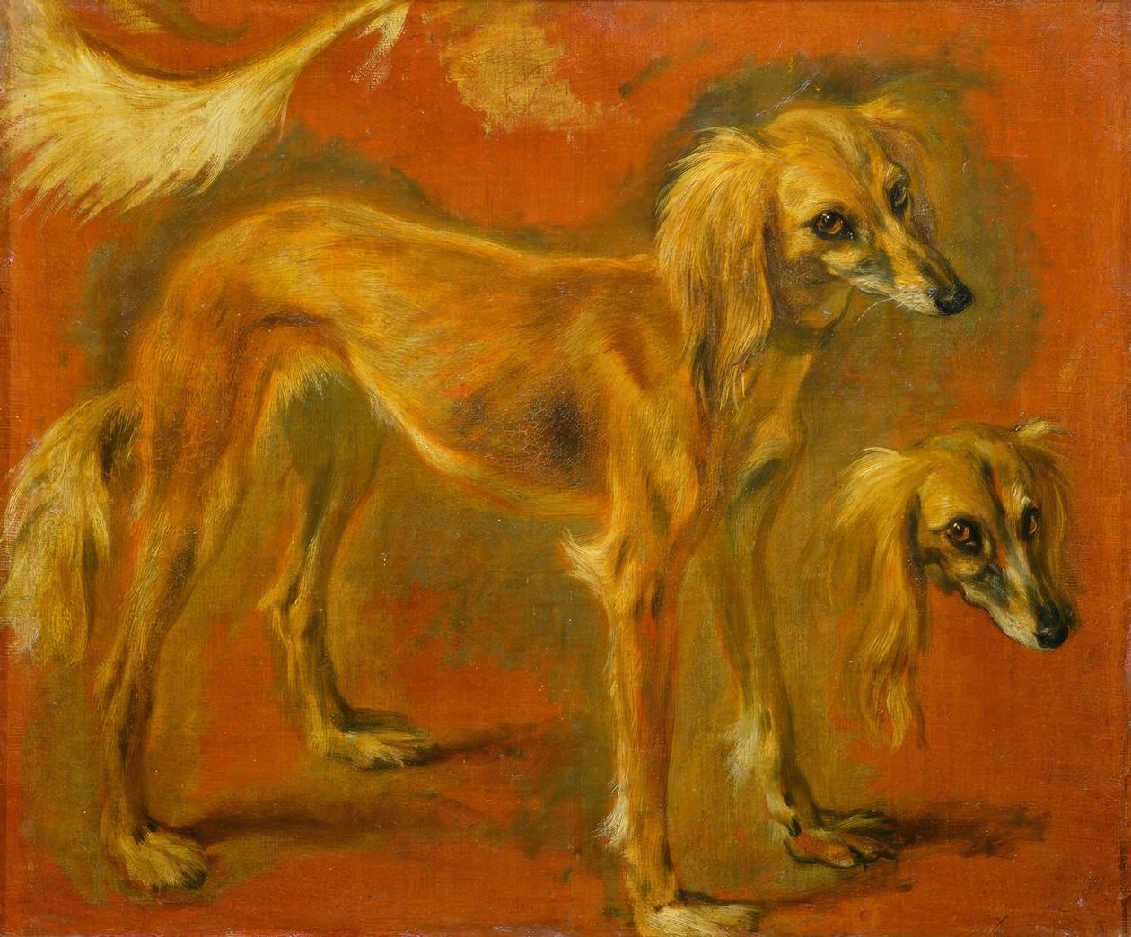 Dvě studie greyhounda od Pieter or Peter Boel