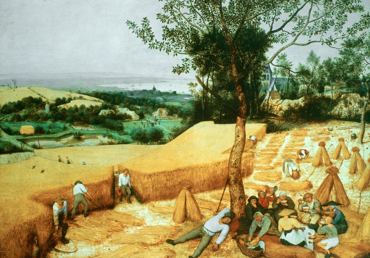 The Harvesters, 1565 od Pieter Bruegel the Elder