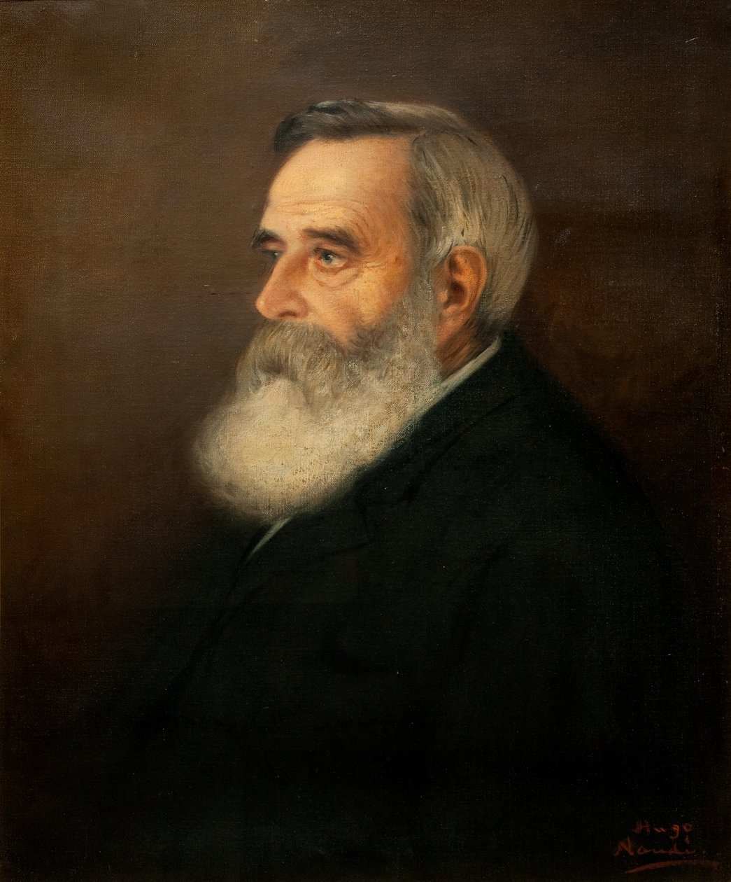 Dr Brown od Pieter Hugo Naudé
