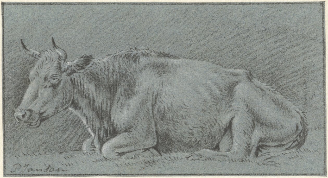 Ležící kráva od Pieter Janson