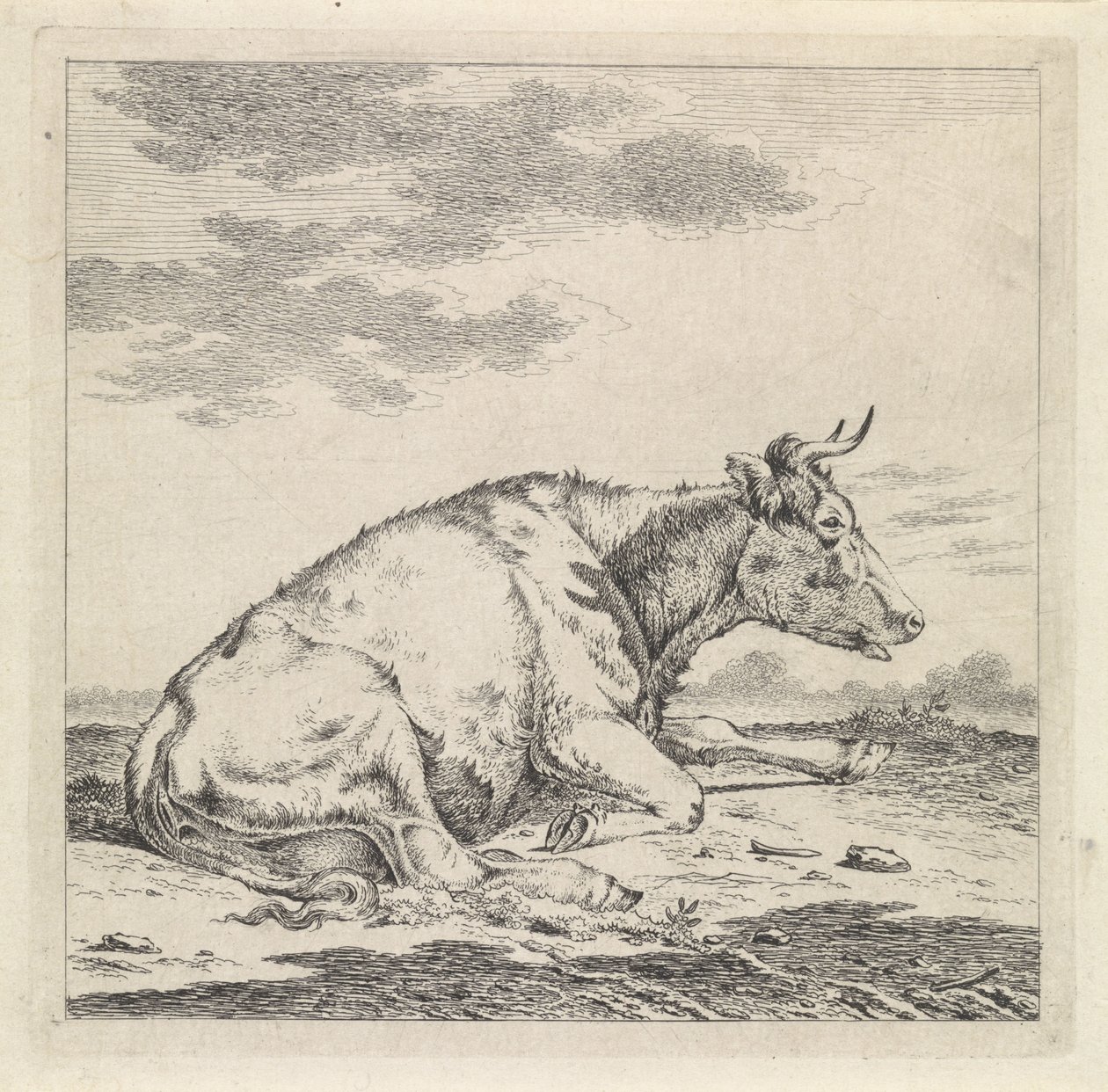 Ležící kráva, vpravo od Pieter Janson
