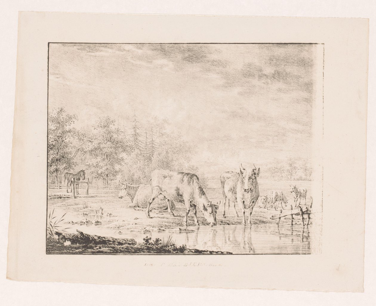 Krávy u vody od Pieter de Goeje (attributed to)