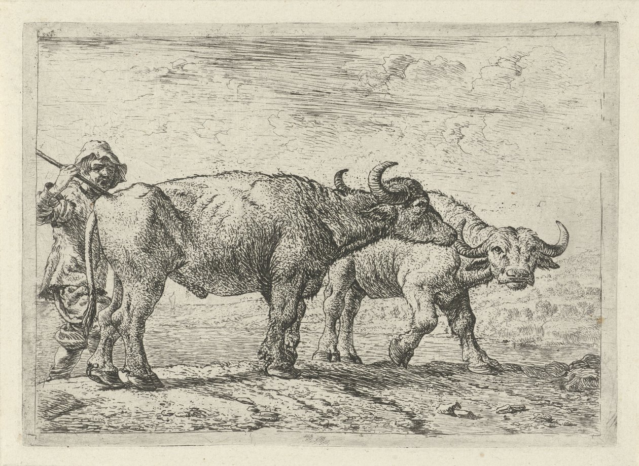 Dva bizoni a pastevec od Pieter van Laer